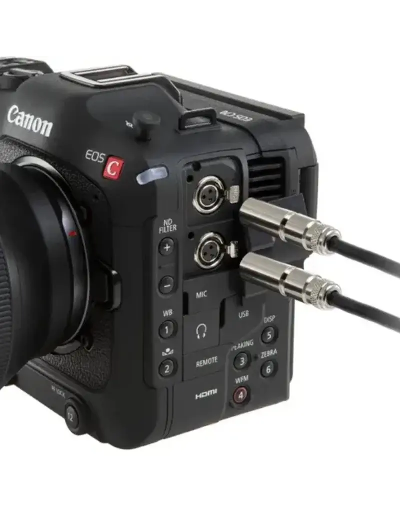 Canon Canon EOS C70