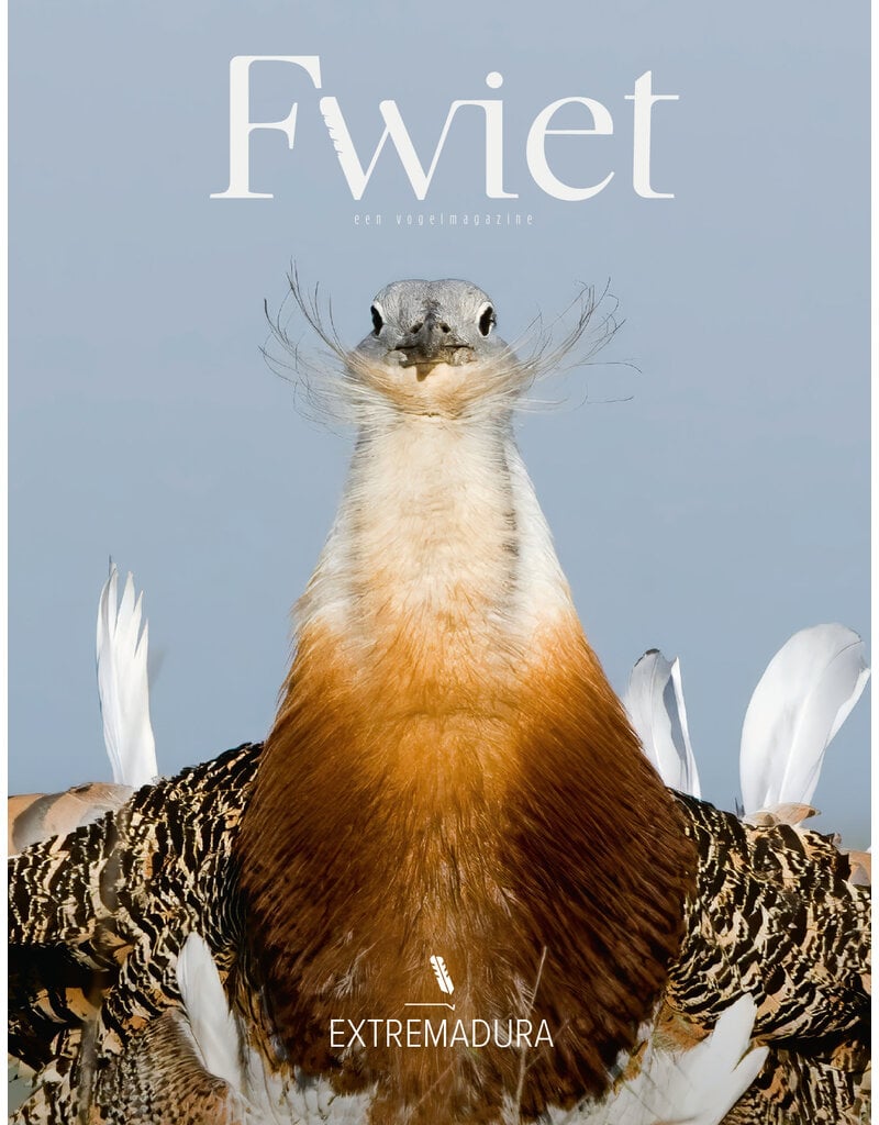 Fwiet Fwiet 10 - Extremadura