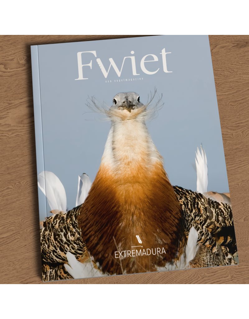 Fwiet Fwiet 10 - Extremadura