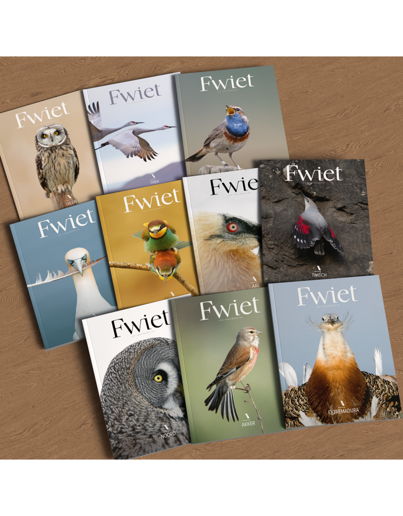 Fwiet Fwiet 10 - Extremadura