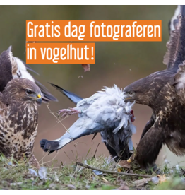 Gratis dag fotograferen in vogelhut!