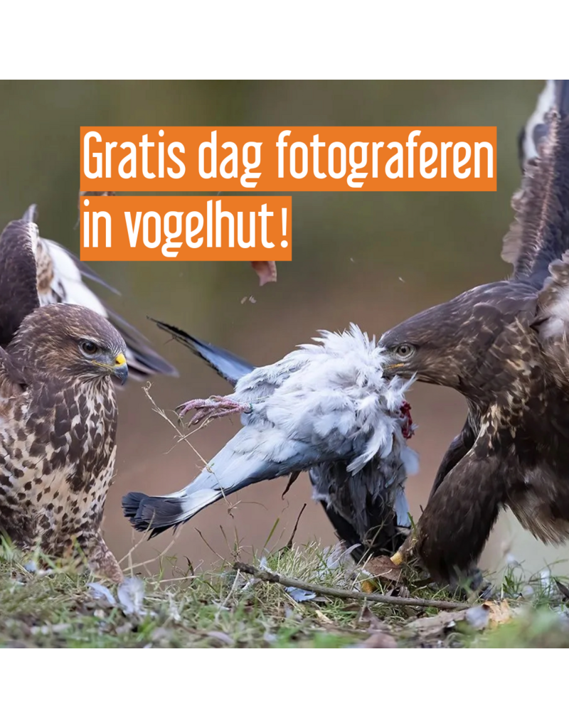Gratis dag fotograferen in vogelhut!