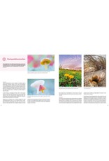 Birdpix Handboek Kustfotografie