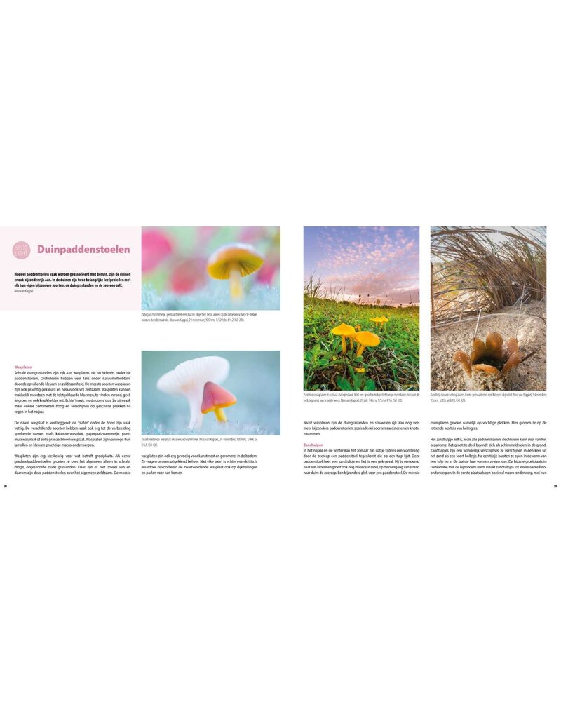 Birdpix Handboek Kustfotografie