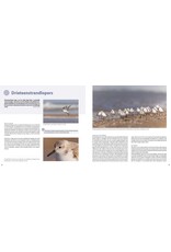 Birdpix Handboek Kustfotografie