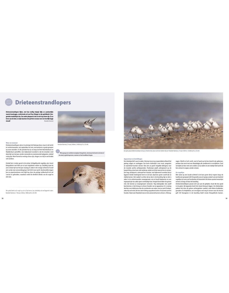 Birdpix Handboek Kustfotografie
