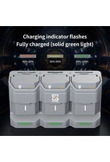 ZGCine ZGCINE Charging Case For 3 Accu's Sony NP-FZ100 (PC3-FZ100)