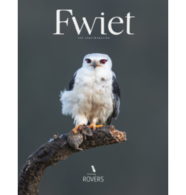 Fwiet Fwiet 11 - Rovers