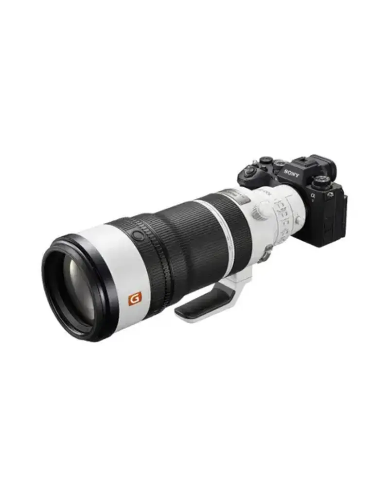 Sony Sony SEL FE 100-400mm f4.5 GM OSS