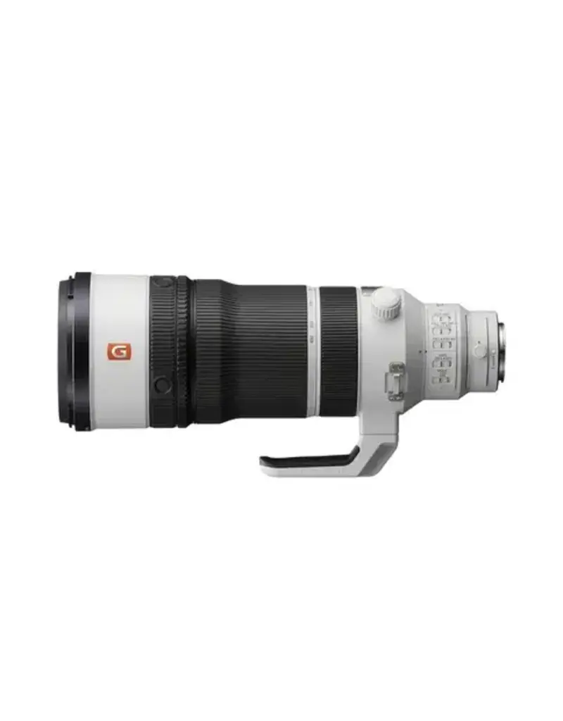 Sony Sony SEL FE 100-400mm f4.5 GM OSS