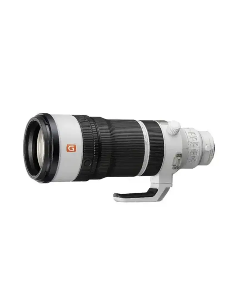 Sony Sony SEL FE 100-400mm f4.5 GM OSS