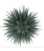 Kerstster snow 40cm turquoise met pendel