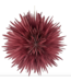 Kerstster snow 60cm pomegrenate met pendel