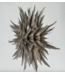 Kerstster ice 50cm taupe met pendel