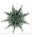 Kerstster ice 50cm turquoise met pendel