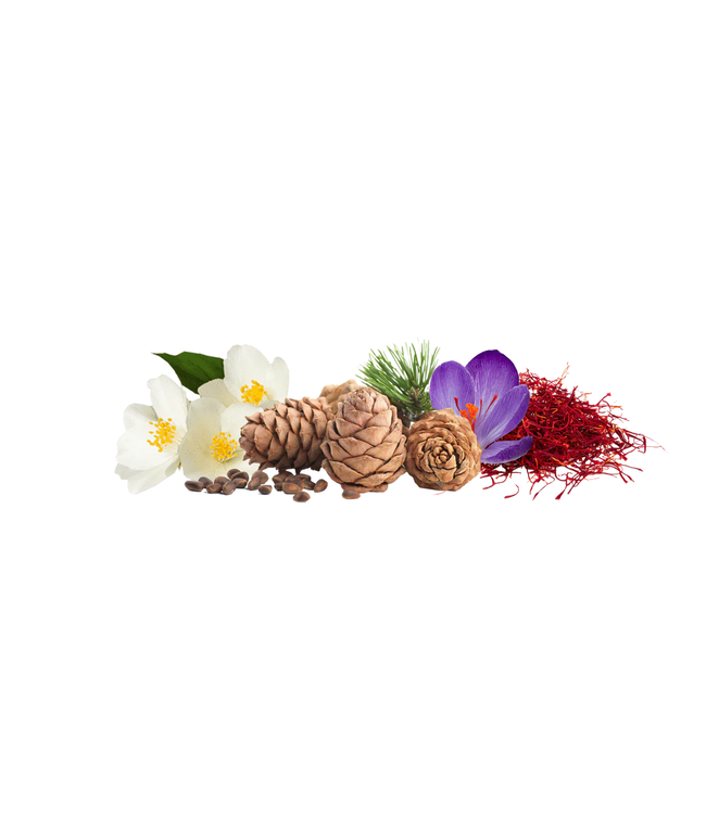 ATELIER REBUL Atelier Rebul NO. 94 Eau de Parfum WOMEN 100ML