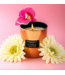ATELIER REBUL Atelier Rebul FLOWER FUSION SCENTED CANDLE 210 GR