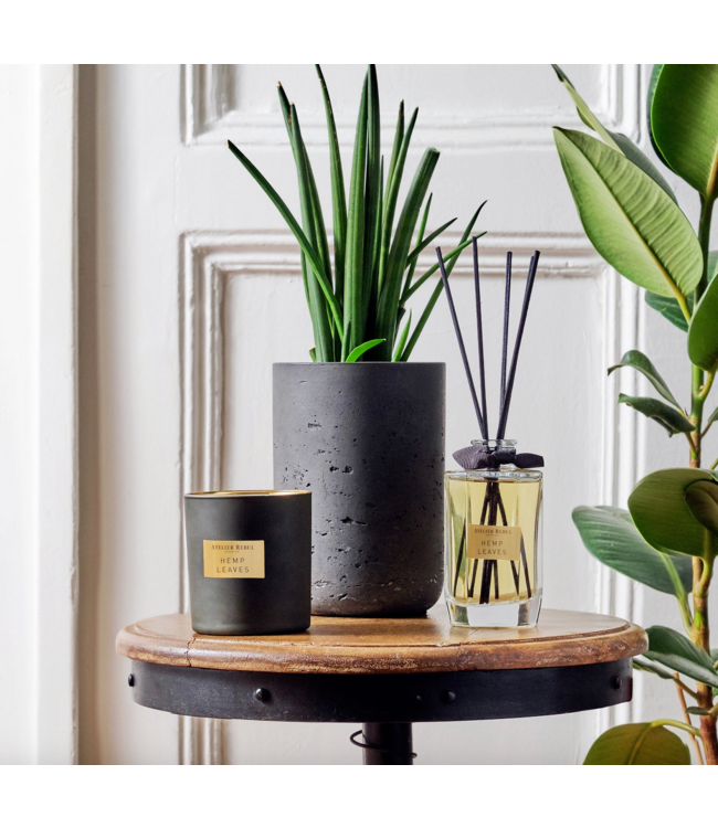ATELIER REBUL Atelier Rebul HEMP LEAVES SCENTED CANDLE 210 GR