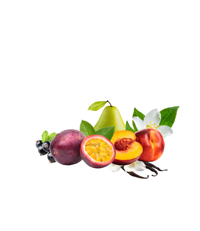 ATELIER REBUL Atelier Rebul BISOUS Eau de Parfum 100ML