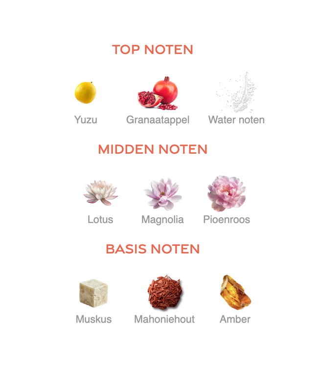 TAP PARFUM LA 121 TAPPARFUM - Fles met verstuiver 50ML