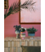 HKLIVING HK Living Retro flower pot rosefield