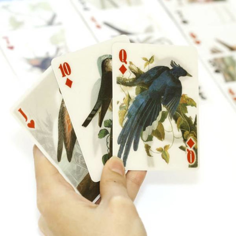 Kikkerland Kikkerland - 3D speelkaarten - vogels