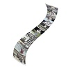 Invotis Invotis - fotostrip - horizontaal Invotis Invotis - fotostrip - horizontaal