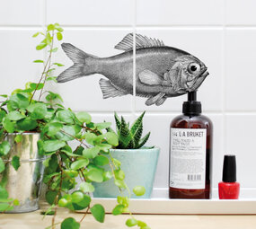 Boubouki Boubouki - tegelsticker - fred (2 tegels)