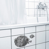 Boubouki Boubouki - tegelsticker - googly  (2 tegels)