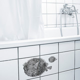 Boubouki Boubouki - tegelsticker - googly  (2 tegels)