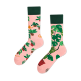 Many mornings Many mornings - sokken - plant lover