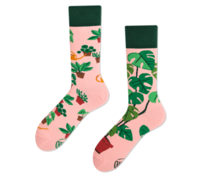 Many mornings Many mornings - sokken - plant lover