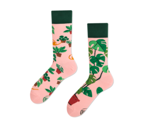 Many mornings Many mornings - sokken - plant lover Many mornings Many mornings - sokken - plant lover