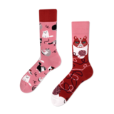 Many mornings Many mornings - sokken - playful cat Many mornings Many mornings - sokken - playful cat