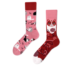 Many mornings Many mornings - sokken - playful cat Many mornings Many mornings - sokken - playful cat