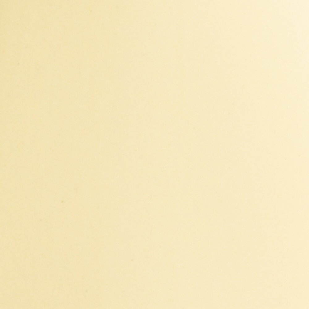 Foekje Fleur Foekje Fleur - porcelain bottle vase - #8 fresh yellow