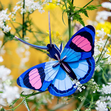 Studio Roof Studio Roof - muurdecoratie - peacock butterfly Studio Roof Studio Roof - muurdecoratie - peacock butterfly