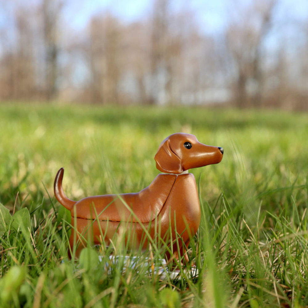 Kikkerland Kikkerland - solar figuur - boudewijn de teckel Kikkerland Kikkerland - solar figuur - boudewijn de teckel