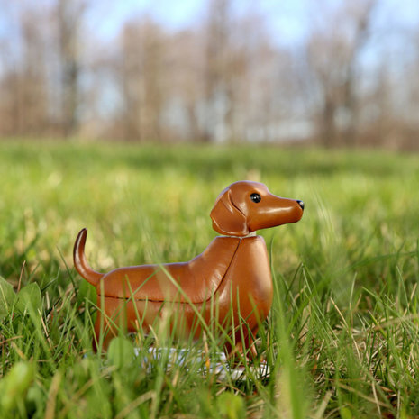 Kikkerland Kikkerland - solar figuur - boudewijn de teckel Kikkerland Kikkerland - solar figuur - boudewijn de teckel