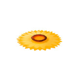 Charles Viancin Charles Viancin - siliconen deksel - sunflower (20 cm) Charles Viancin Charles Viancin - siliconen deksel - sunflower (20 cm)