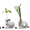 Botanopia / Sprout Botanopia - deluxe cadeauset Botanopia / Sprout Botanopia - deluxe cadeauset