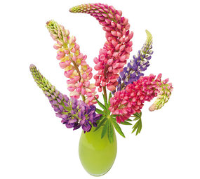 Flatflowers Flat flowers - raamsticker - lupine (30 x 37 cm) Flatflowers Flat flowers - raamsticker - lupine (30 x 37 cm)