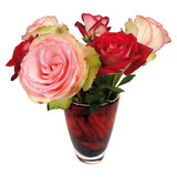 Flatflowers Flat flowers - raamsticker - roses (30 x 30 cm)