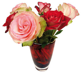 Flatflowers Flat flowers - raamsticker - roses (30 x 30 cm)