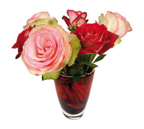 Flatflowers Flat flowers - raamsticker - roses (30 x 30 cm) Flatflowers Flat flowers - raamsticker - roses (30 x 30 cm)