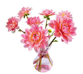 Flatflowers Flat flowers - raamsticker - dahlia (30 x 30 cm) Flatflowers Flat flowers - raamsticker - dahlia (30 x 30 cm)