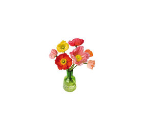 Flatflowers Flat flowers - ansichtkaart raamsticker - papaver (15 x 15 cm)