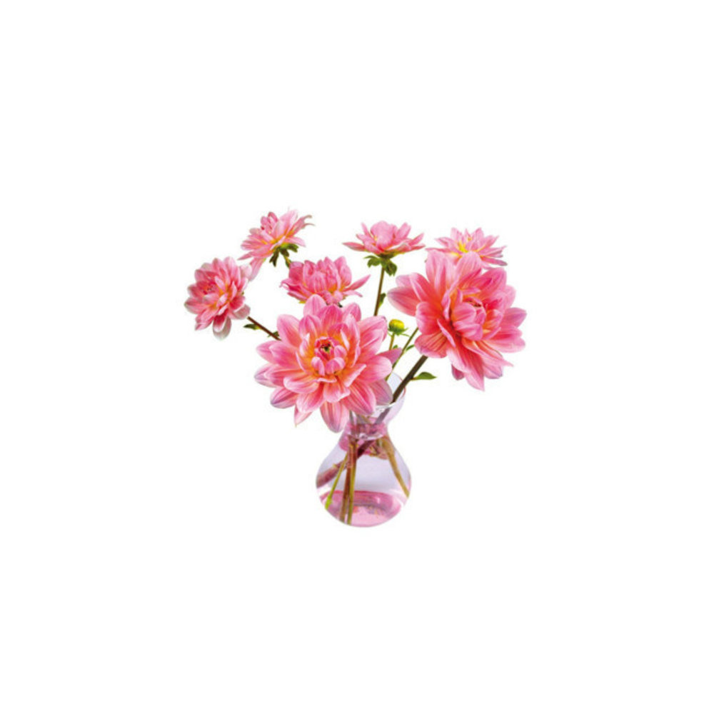 Flatflowers Flat flowers - ansichtkaart raamsticker - dahlias in vaas Flatflowers Flat flowers - ansichtkaart raamsticker - dahlias in vaas