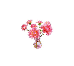 Flatflowers Flat flowers - ansichtkaart raamsticker - dahlia (15 x 15 cm) Flatflowers Flat flowers - ansichtkaart raamsticker - dahlia (15 x 15 cm)