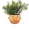 Sass & Belle Sass & Belle - mini planter - ross - plantenpotje met gezicht Sass & Belle Sass & Belle - mini planter - ross - plantenpotje met gezicht